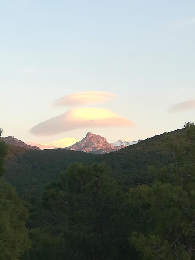 Acogedor apartamento con fantásticas vistas. La Zubia  Esterno foto